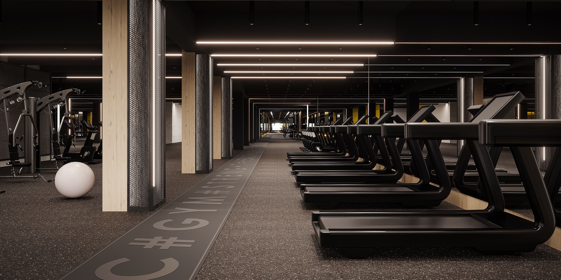 Modern gym interior design. Industrial gym concept design.